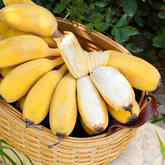 Chuối cau chín tươi ngon, loại 1, an toàn